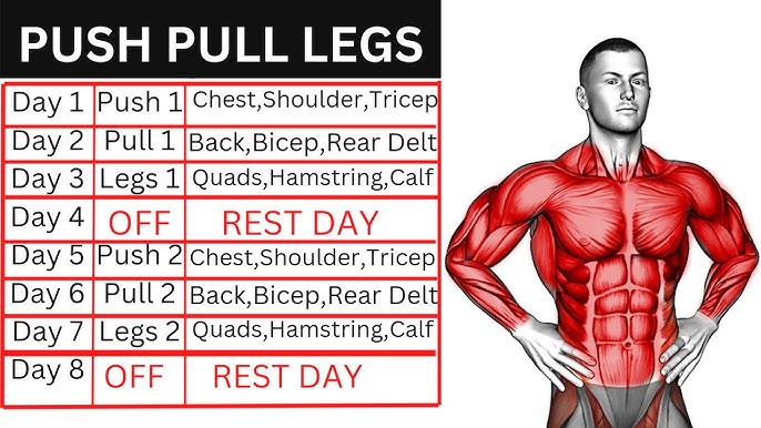 split workout plan